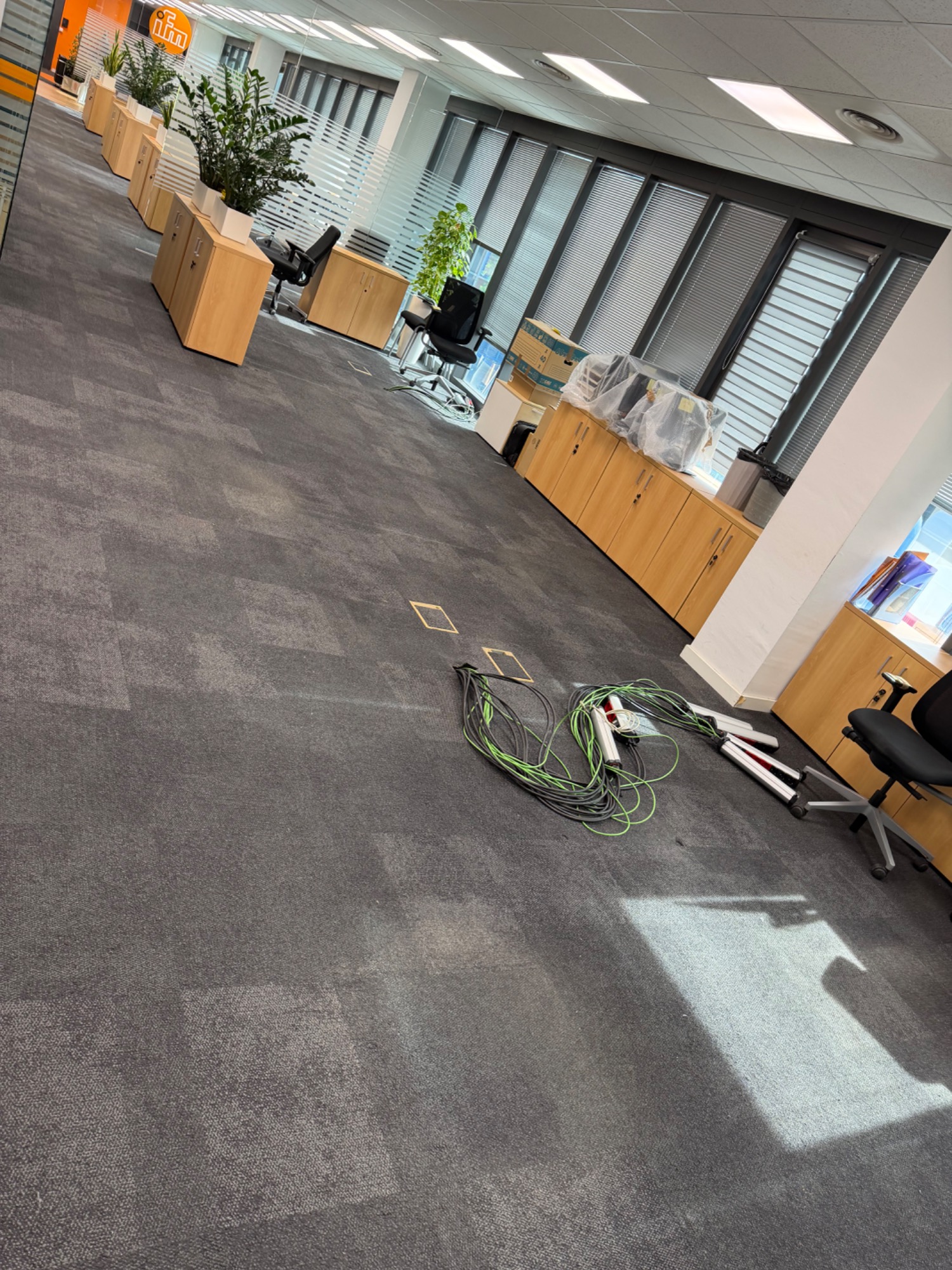 Oficina moderna con muebles de madera, plantas y suelo de moqueta gris.